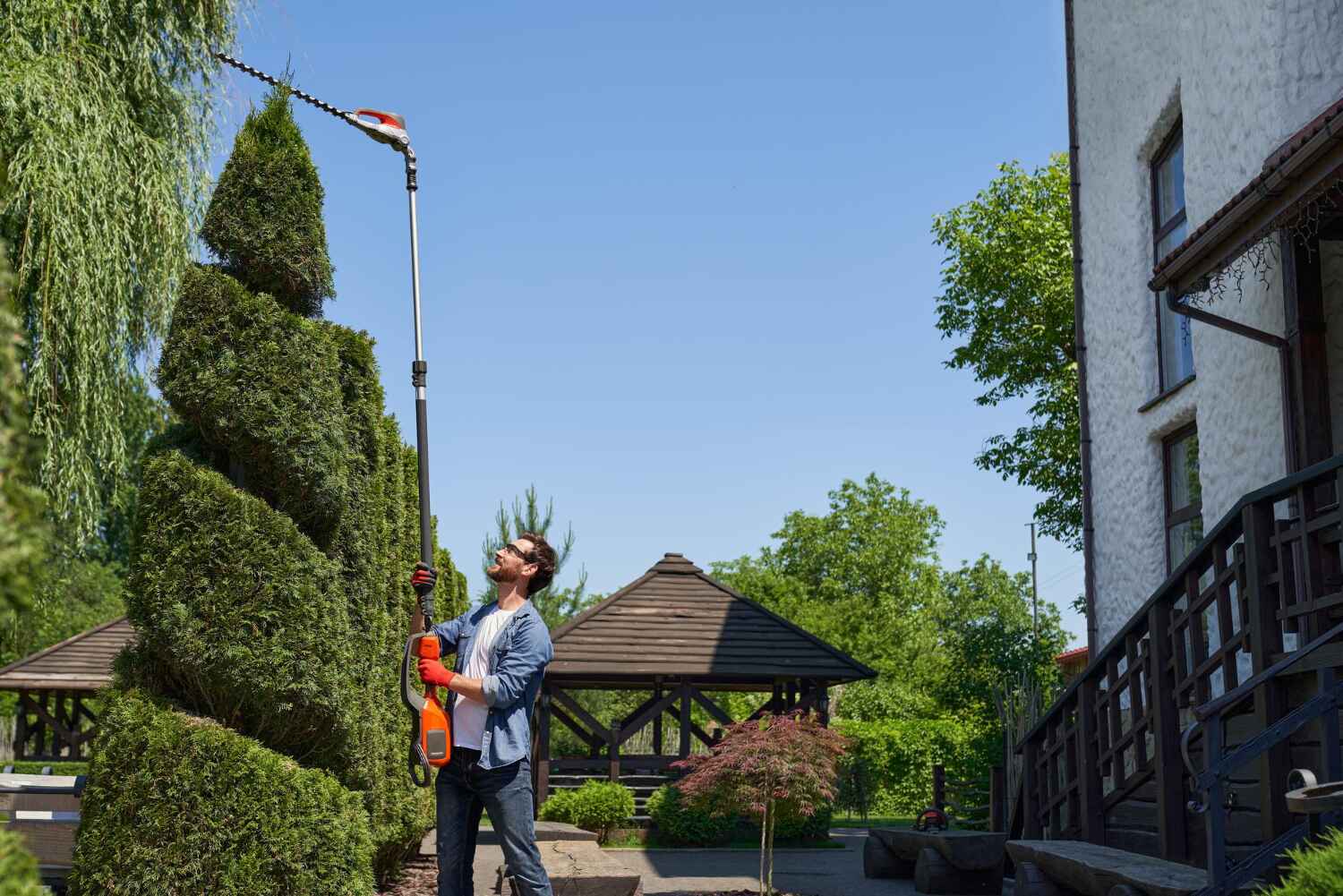 Best Tree Cutting Near Me  in Scottdale, GA